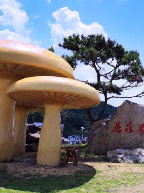 寶豐珍稀菌產業(yè)園